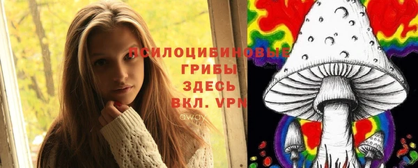 сатива Алексеевка