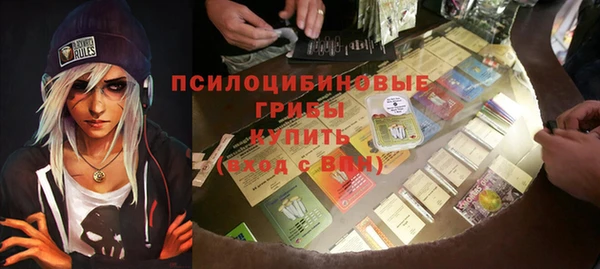 сатива Алексеевка