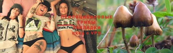 гашиш Алзамай