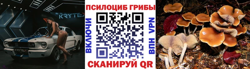 наркошоп  MEGA ССЫЛКА  Галлюциногенные грибы мицелий  Чебоксары 