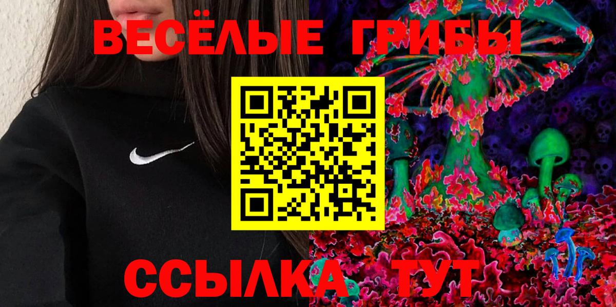 Галлюциногенные грибы Psilocybine cubensis Чебоксары